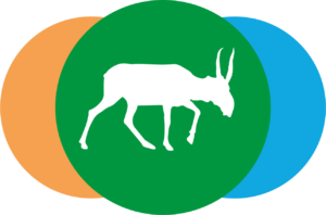 2022 IZRK logo