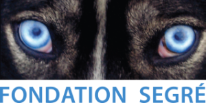 logo_Fondation-Segre1 logo_Fondation-Segre1
